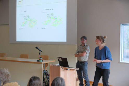 Eline Staubli zeigt die Verbreitungskarten der heimischen Waldameisen