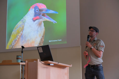 Yannick Bucher mit dem Portrait eines Grünspechtes, der sich vorwiegend von Ameisen ernährt