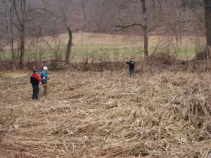Die fleissigen Helfer hatten einiges zu tun: Vor lauter Schilf war der Weiher fast nicht mehr zu sehen.