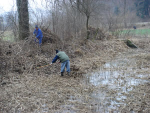 Nach und nach kam die Wasseroberfläche wieder zum Vorschein.