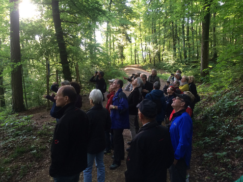 Aufmerksame BeobachterInnen an der Exkursion