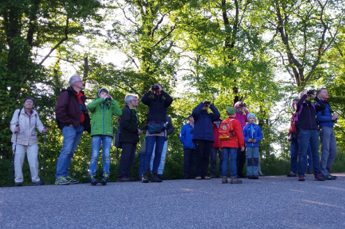 Teilnehmer der Morgenexkursion beim beobachten der Buntspechte