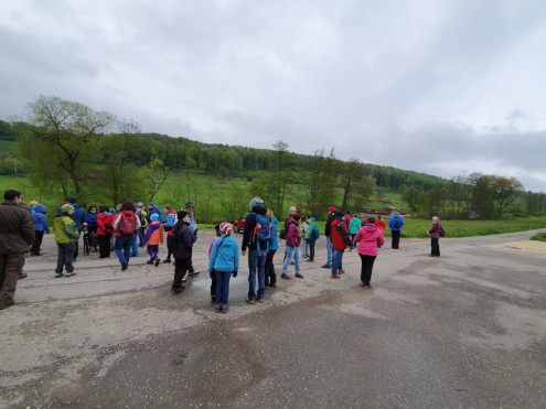 Aufteilung auf zwei Gruppen