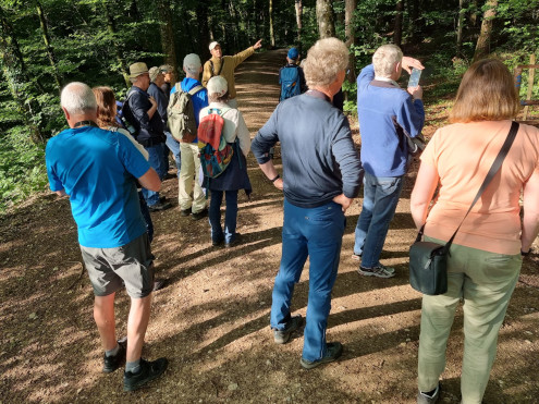 Martin Furler spricht eine Singdrossel an