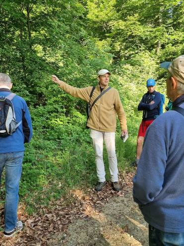 Martin Furler in Aktion