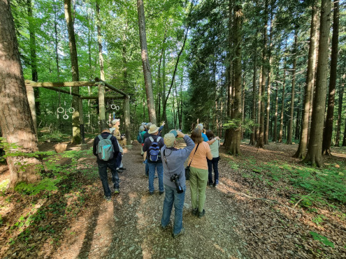 Erich guck in die Luft