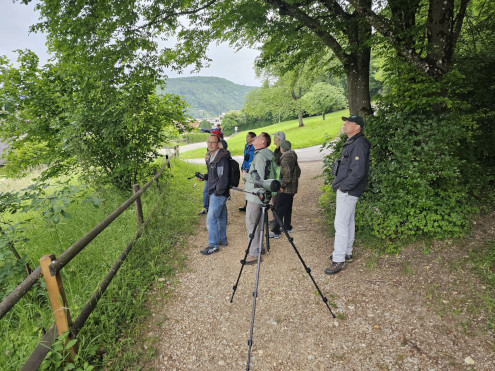 Gemeinsame Suche nach einem Sänger