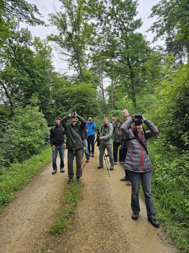 Das Beobachten von Vögeln bietet ein gewisses 'Nackenstarrepotential'