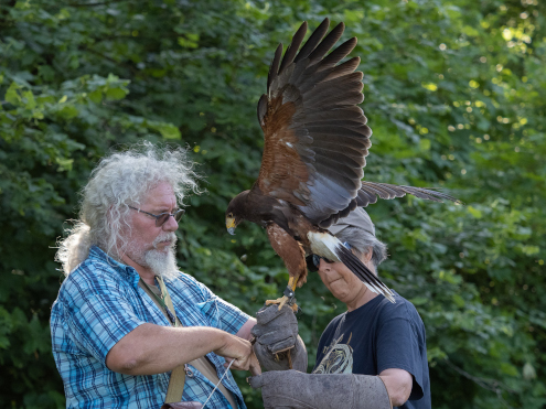 Konzentrierte Startvorbereitung