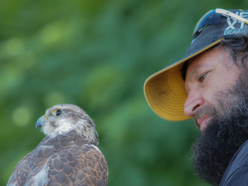 Ich sehe was, was du nicht siehst...