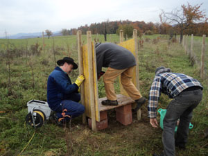 Die Seitenwände aus Schaltafeln wurden mit 4 Pfählen im Boden verankert