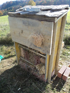 Die Rückseite des fertigen Insektenhauses mit Wetterschutz im oberen Teil