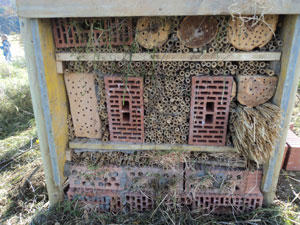 Als Unterschlupf für die Insekten werden die Zwischenräume mit hohlen Pflanzenstengeln, Schilf, Bambusrohren und ähnlichem ausgefüllt