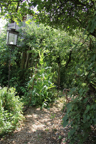 Auf märchenhaften Pfaden