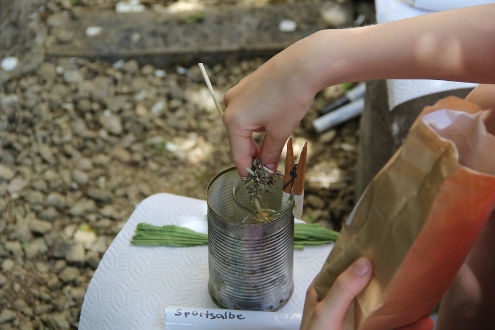 Beimischen der Kräuter zur Sportsalbe