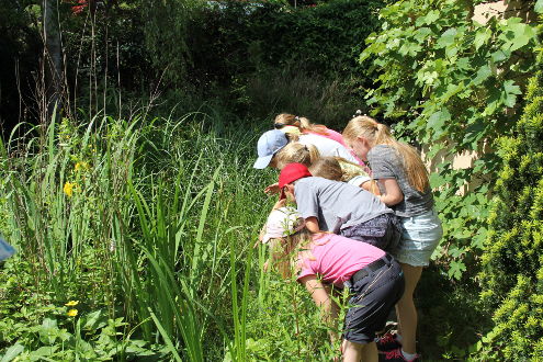 Es gab viel Spannendes zu entdecken...