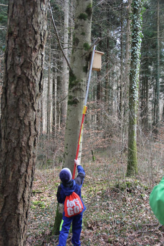Dank der Teleskopstange konnten auch die höher hängenden Kästen herunter genommen werden