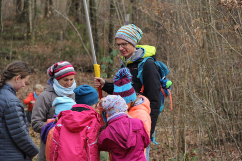 Hier wird ein Nest genaustens inspiziert