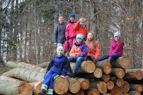 Gefällte Baumstämme dienten als Klettergarten