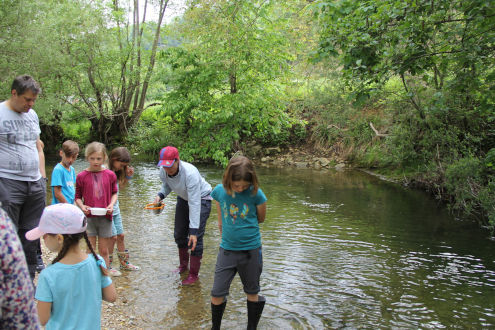 Zuerst wird erklärt, worum es geht