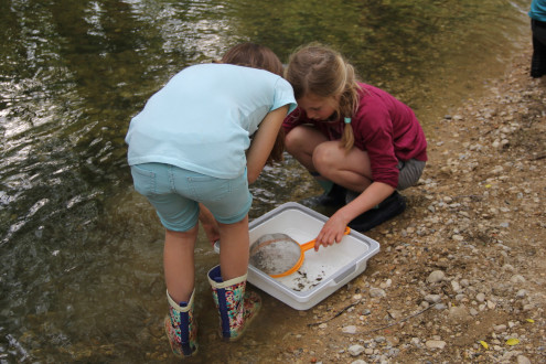 Inspektion des aus dem Bach gesiebten Materials