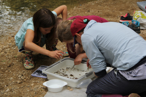 Mit voller Konzentration an der Arbeit