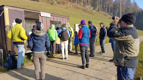 Der Container der Beringungsstation wird belagert