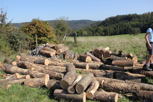 Es gibt viel zu tun. Packen wir's an