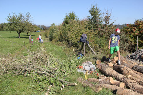 Nebst dickem Stammholz wurden auch Sträucher aus der Hecke verarbeitet