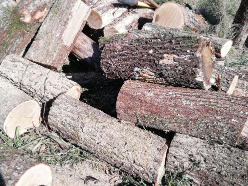 Stillleben mit Holzrugeli