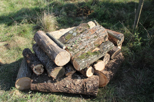 Die fertige Aufzuchtkammer in der Mitte der Wieselburg