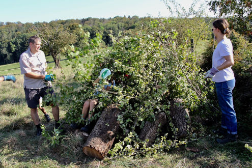 Die erste zweibeinige Bewohnerin der Wieselburg...