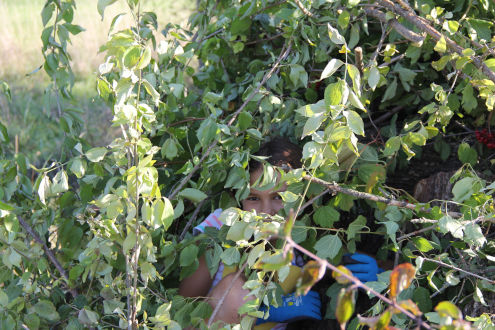 Hoffentlich hat sie sich wieder befreien können