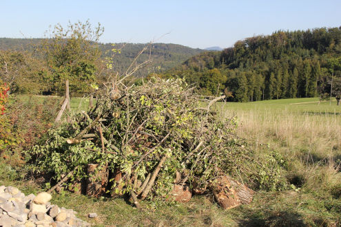 Die Wieselburgen sind gut getarnt