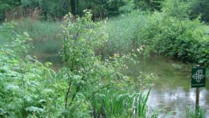 Der idyllische Brunnmattweiher gegenüber Hof Beuggen