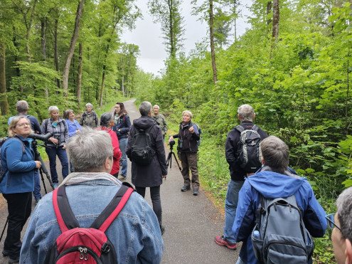 Erster Stopp zwecks Bestimmung des Gehörten