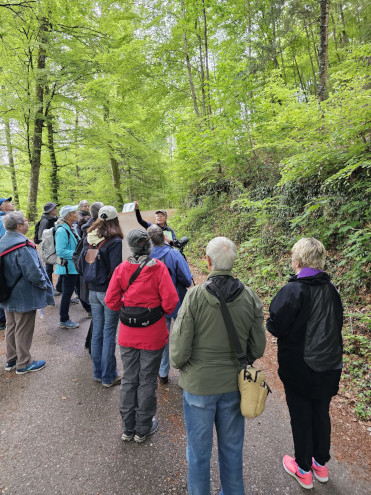 Exkursionsleiterin Jeanette Wipf erklärt die Unterschiede zwischen Sommer- und Wintergoldhähnchen