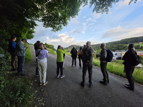 Auf dem Weg Richtung Fommert