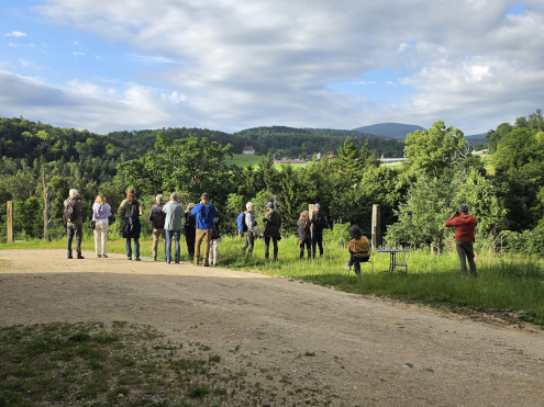 Blick vom Wildenstein Richtung Arxhof