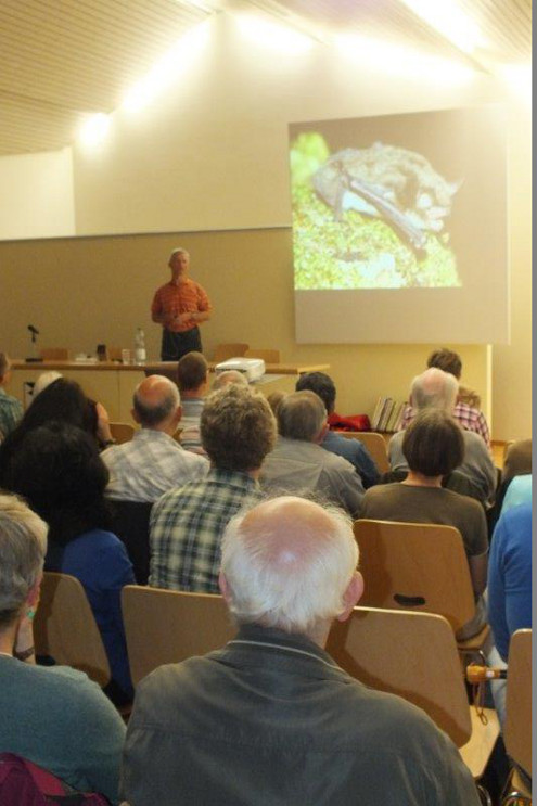 Nacht der Fledermäuse, Bubendorf, 29.08.2014