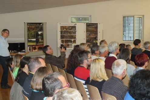 Nacht der Fledermäuse, Bubendorf, 29.08.2014