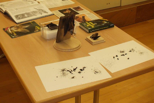 Nacht der Fledermäuse, Bubendorf, 29.08.2014