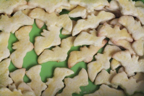 Nacht der Fledermäuse, Bubendorf, 29.08.2014