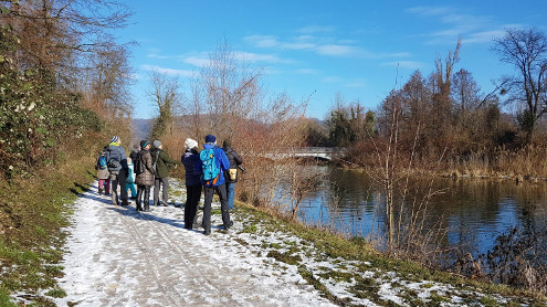 Unser Spaziergang führte uns entlang der Ergolzmündung bei Augst