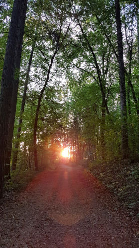 Sonnenaufgang mit Halo Effekt