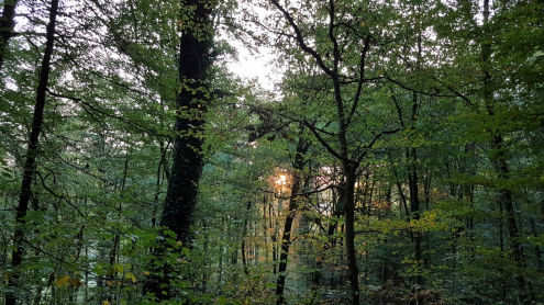 Es wird endgültig Tag