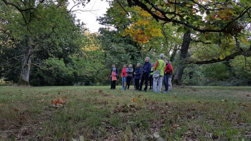 Unsere Gruppe beim Bestaunen eines Baumriesen