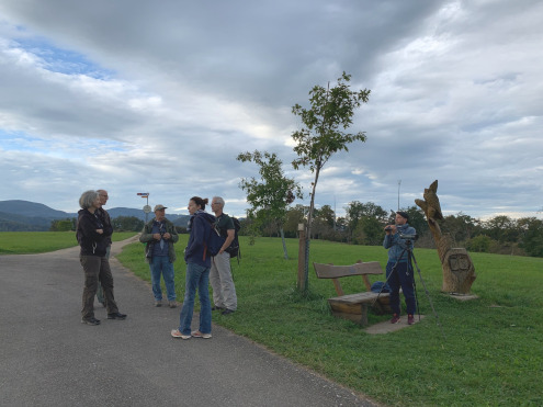 Warten auf den nächsten Taubenschwarm