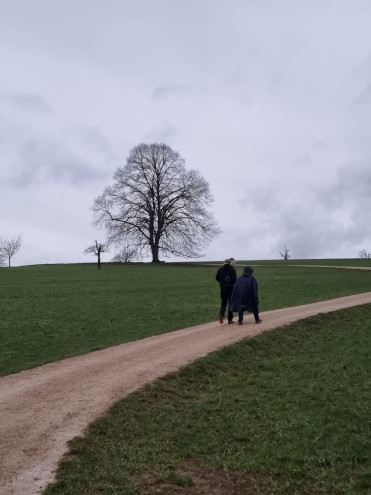 Auch Regenwetter bietet eindrucksvolle Stimmungen