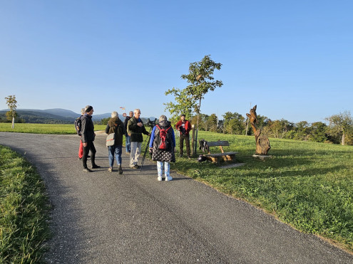 Wir installieren uns an unserem Beobachtungsposten auf der Murenberghöhe